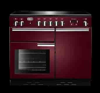 Professional Plus 100 Ind. Cranberry Eu